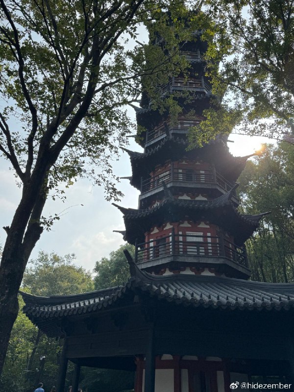 秋游佘山via Weibo秋游佘山via Weibo