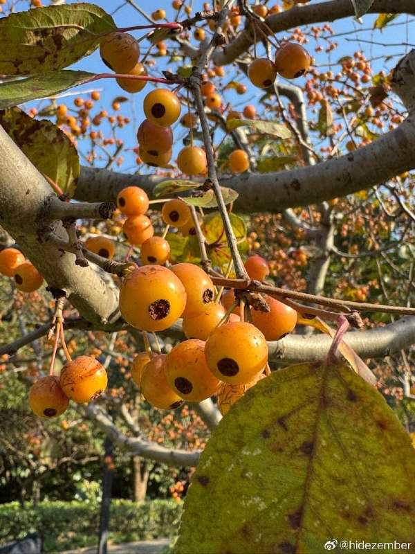 冬日，湿地walkvia Weibo冬日，湿地walkvia Weibo