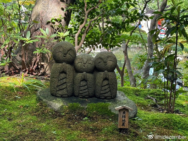 镰仓特种兵行程第一日，收获下雨没看到富士山，拉练5km，唠叨n次女朋友生气1次，腰酸背痛累到昏厥……via Weibo