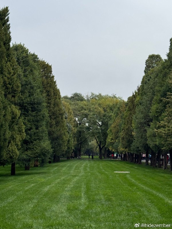 天坛与烤鸭🐶🐣via Weibo天坛与烤鸭🐶🐣via Weibo