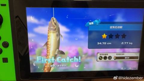 工作不愉快只想花钱，但仔细思考了steamdeck的适用范围后，决定还是升级台式机，再让switch发挥余热