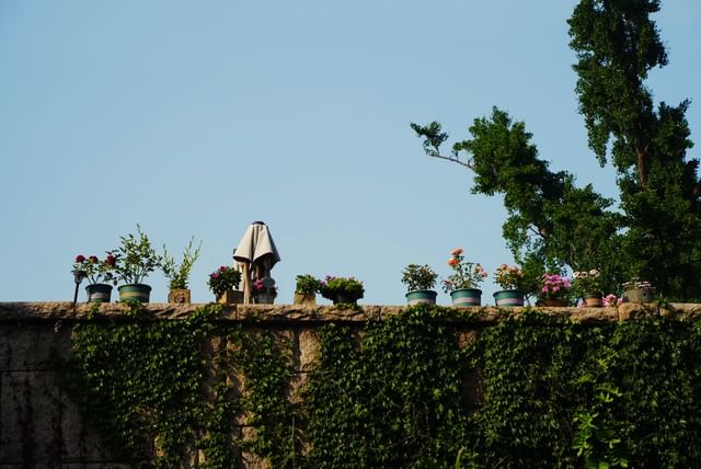 山海之间via Instagram山海之间via Instagram