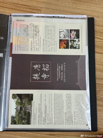 周末两天没有出门，天气不错，今天竟然有26度，朋友说公园里面全都是人