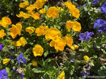 昨天喝了自己冲的手冲咖啡，失眠到五点