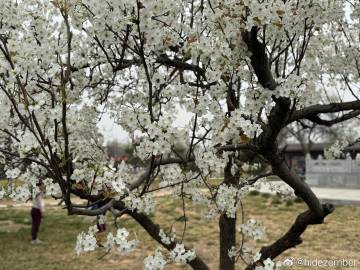 凌晨飞机落地石家庄，早上起床没有停留来到赵县