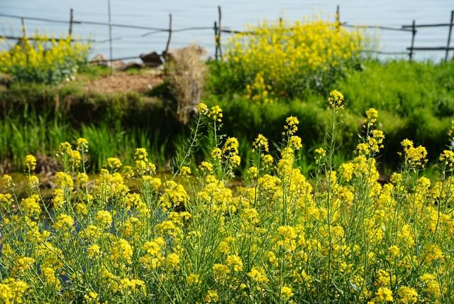 @suzhouvia Instagram@suzhouvia Instagram