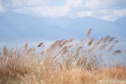 开工大吉，滇东南闲逛结束via Weibo开工大吉，滇东南闲逛结束via Weibo