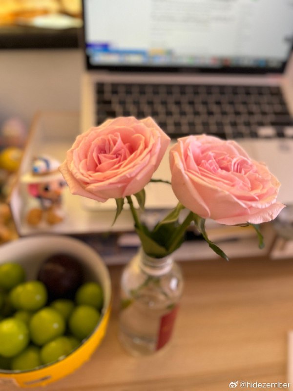 北京两日🐣🐶via Weibo北京两日🐣🐶via Weibo