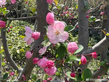 昨天喝了自己冲的手冲咖啡，失眠到五点