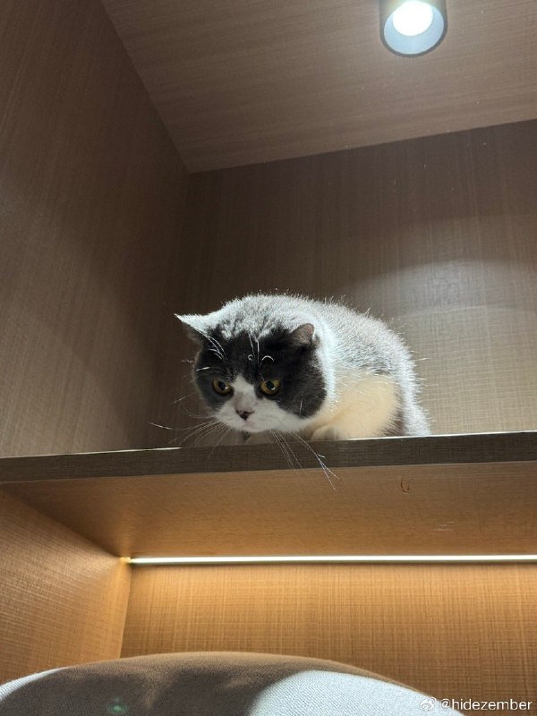 取关了一部分订阅的RSS，并非是更新的频率不高，而是更新的太频繁，造成信息量爆炸