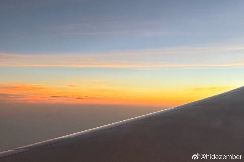 上海的夜晚风也是炙热的