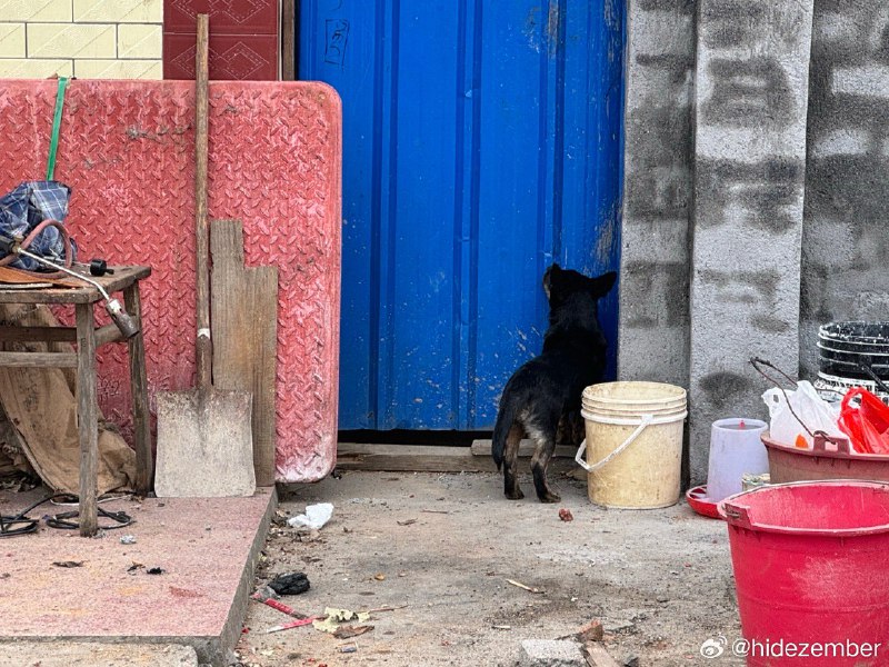 家乡via Weibo家乡via Weibo