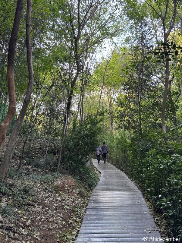秋游佘山via Weibo秋游佘山via Weibo