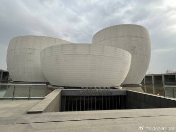 凌晨飞机落地石家庄，早上起床没有停留来到赵县