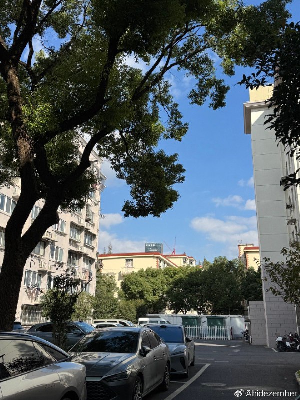 今日：早起打球，天气很好