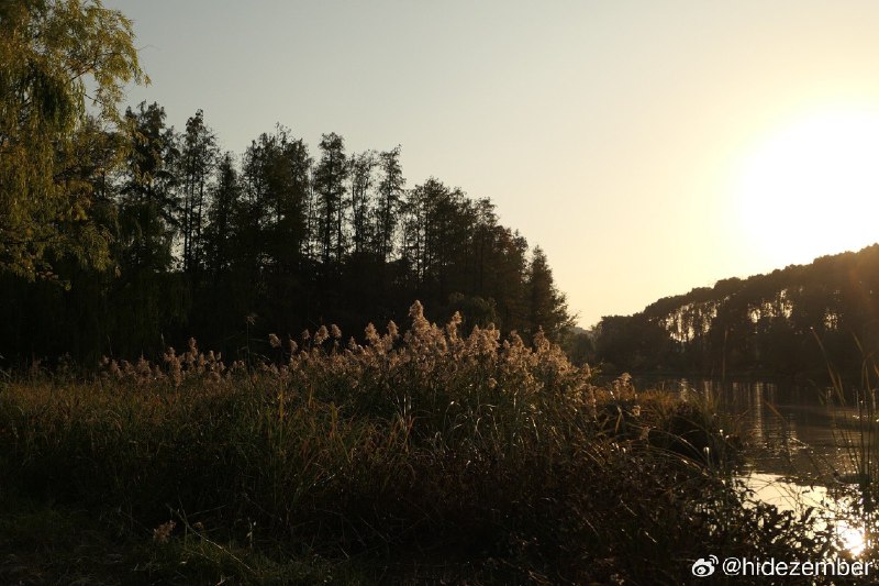 冬日，湿地walkvia Weibo冬日，湿地walkvia Weibo