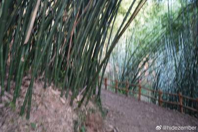 东汉崖墓，宜宾七个洞汉墓，在废弃的景区内