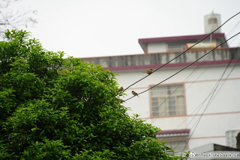 我感觉每次对家乡的感觉都很emo是因为每次回来都是阴雨天via Weibo